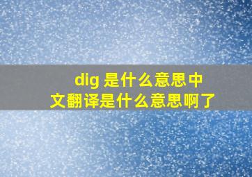 dig 是什么意思中文翻译是什么意思啊了